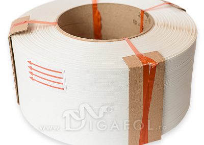BANDA PP DIGAFOL DISTRIBUTION SRL - Timis
