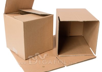 CUTIE CARTON DIGAFOL DISTRIBUTION SRL - Timis
